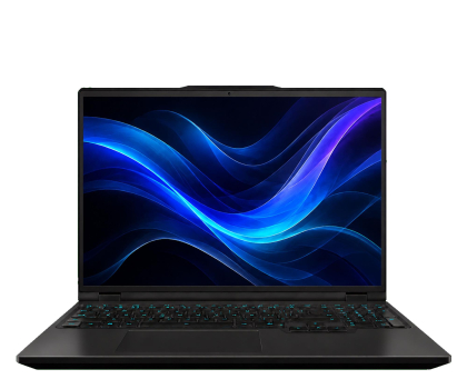 Laptop Dream Machines 16PL22 i9-13900HX/32GB/2TB RTX5070Ti 300Hz